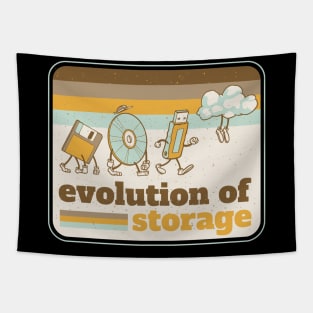 Evolution Of Storage Tapestry