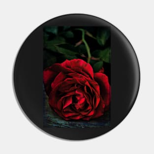 Rose 385 Pin