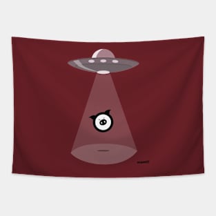 Spaceship Pig Tapestry