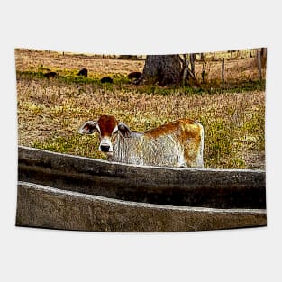 the little veal Tapestry