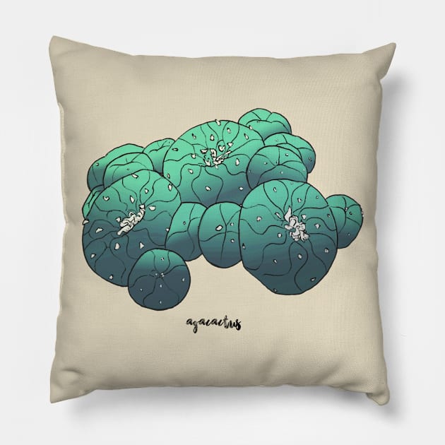 Lophophora Diffusa by Agacactus Pillow by AgaCactus