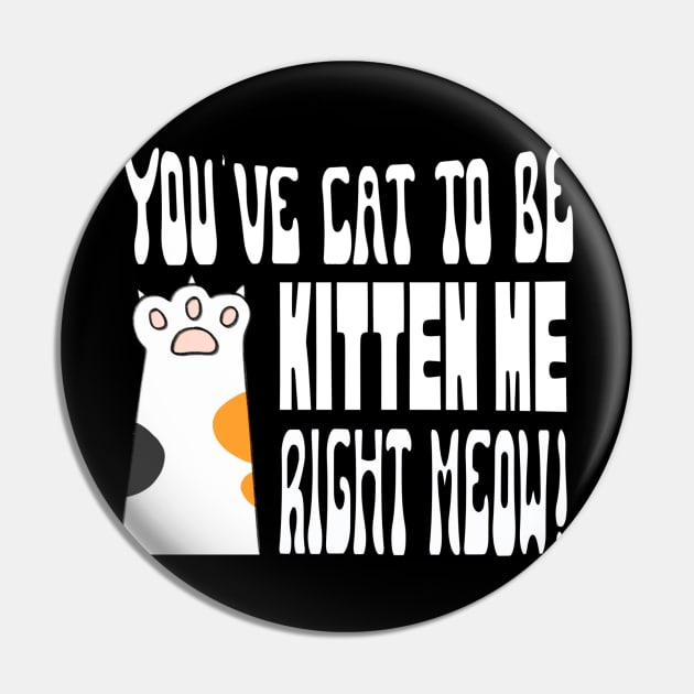 Cute Cat Kitten Lovers Design Pin by missdebi27