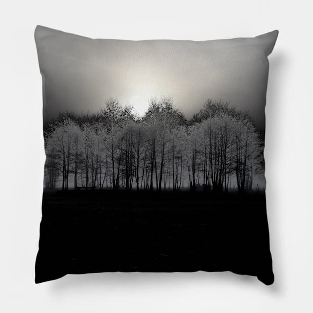 Dark forest Pillow by Wolf Art / Swiss Artwork Photography