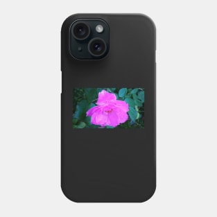 Downcast Rose Phone Case