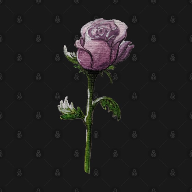 Purple Rose by AlexandraRose