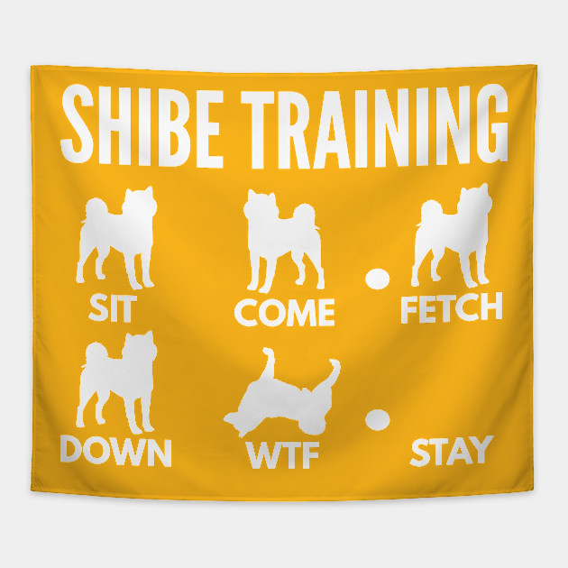 Shiba Inu Training Shibe Dog Tricks
