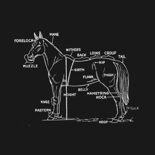 Horse anatomy T-Shirt