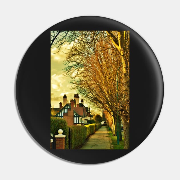 Hull, Garden Village Hull Garden Village Pin TeePublic