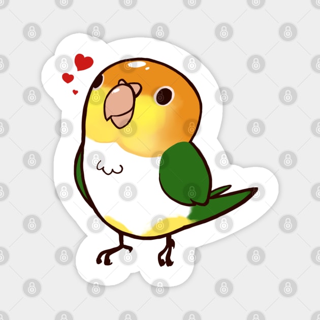 Caique 2 Magnet by Shemii