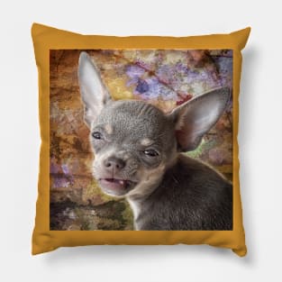 Cheeky Face Funny Chihuahua Pillow