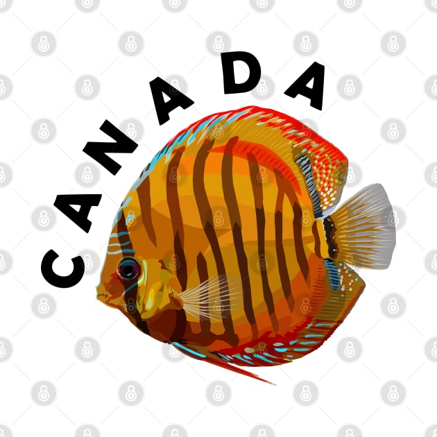 Canada Tefe Discus Fish – Symphysodon (Cichlid) – Cute Freshwater Aquarium Animal by Jahmar Anderson