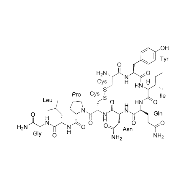 Oxytocin Hormone Of Love by erzebeth