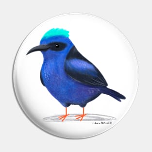 Red Legged Honeycreeper Bird Pin