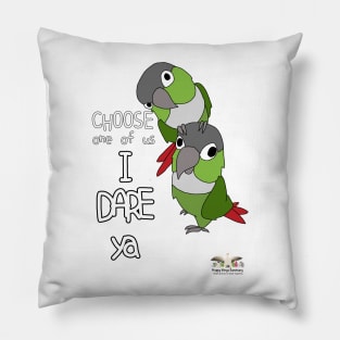 HWS SASSY COLLECTION! - GREEN CHEEK CONURE Pillow