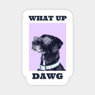 Yo, what up DAWG? Magnet