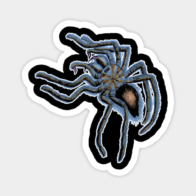 Tarantula Spider Magnet by encycloart