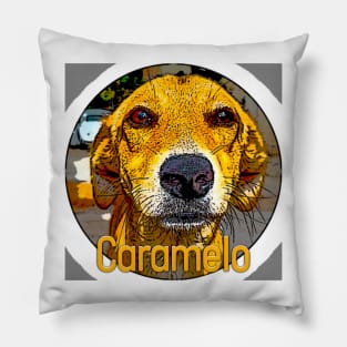 Caramel the famous dog of Brazil, victim of torture and death in a supermarket Pillow