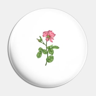 Pink Rose 1 Botanical Pin