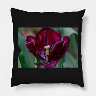 tulip Pillow