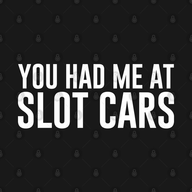 You Had Me at Slot Cars by newledesigns