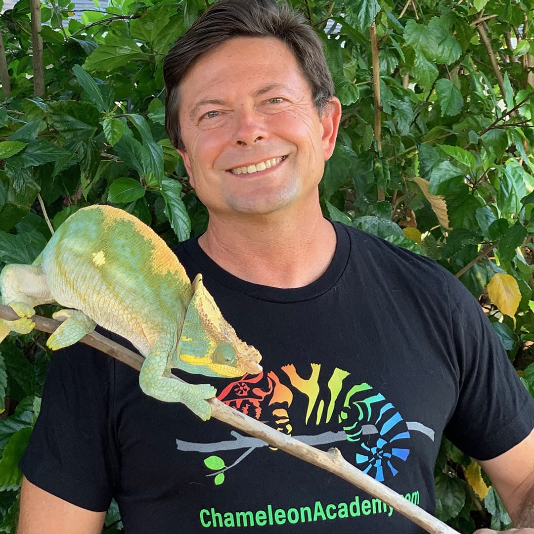 Chameleon Academy profile image
