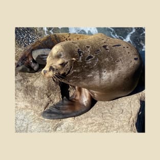 Sea Lion "Let me think about that" T-Shirt