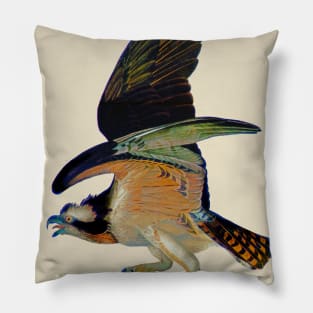 John J. Audubons Fishing eagle Pillow