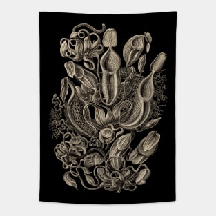 Ernst Haeckel  Pitcher Plant Wenge Tapestry