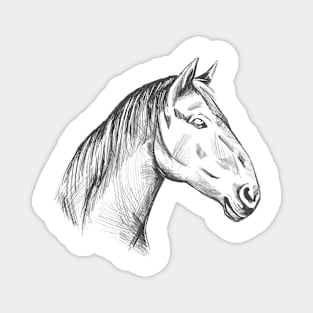 Horse hand drawn Magnet