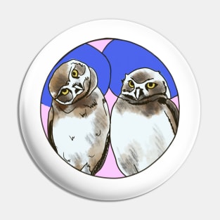 Burrowing Owls- Circle edit Pin