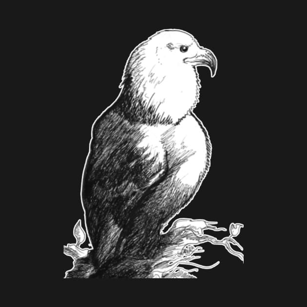 Ink sketch - bald eagle 21/02/23 by STearleArt