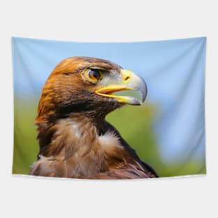 Profile of a Young Golden Eagle Tapestry