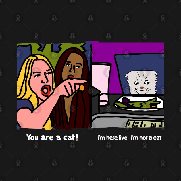 Woman Yelling at Cat Im Not a Cat Funny Memes - Memes - T-Shirt | TeePublic