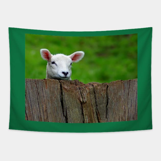 cute Lamb hiding Tapestry by Simon-dell