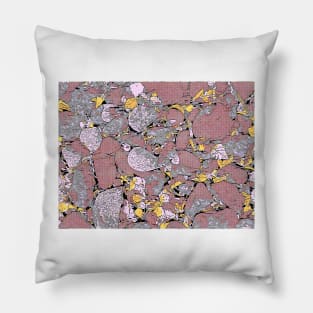 Salmon Stones Pillow