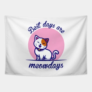 Best Days are Meowdays for Boys Men Girls Women Kids Tapestry