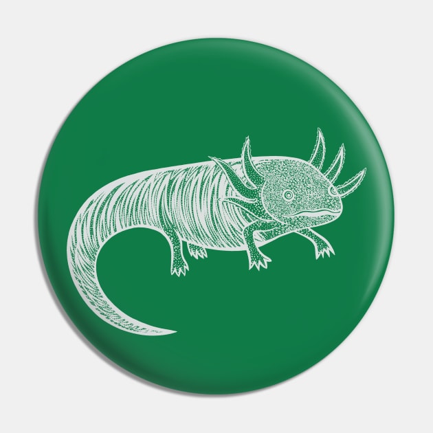 Axolotl - detailed hand drawn animal design Pin by Green Paladin