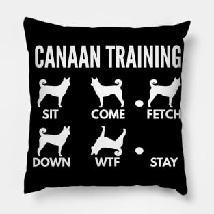 Canaan Dog Training Bedouin Sheepdog Tricks Pillow