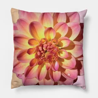 Pink Dahlia Pillow