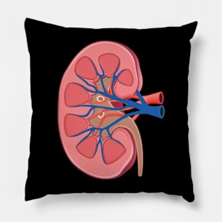 human Kidney anatomy Pillow