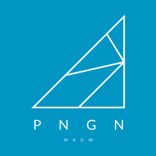 PNGN - Geometric Penguin T-Shirt