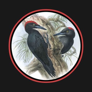 Black woodpecker - Dryocopus martius T-Shirt