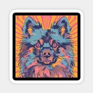 Keeshond in 70's Magnet