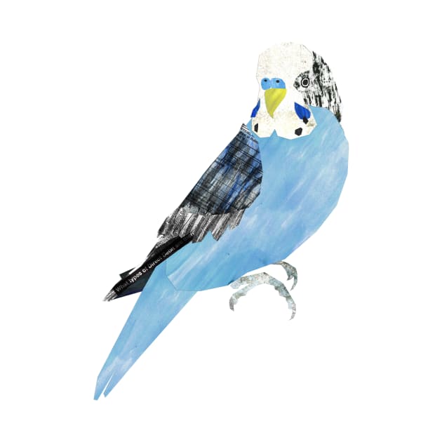 Budgerigar by Babban Gaelg