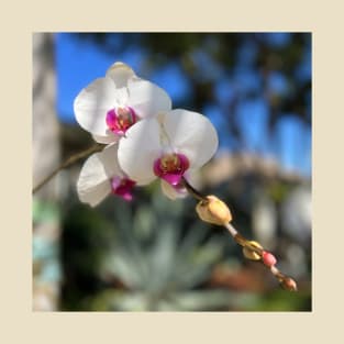 White Orchid Trio Pink Centers T-Shirt