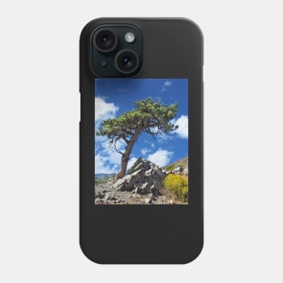 A Lonely Pine Tree Phone Case