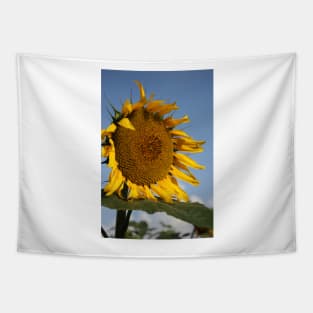 Bright and Colorful Kansas Sunflower Tapestry