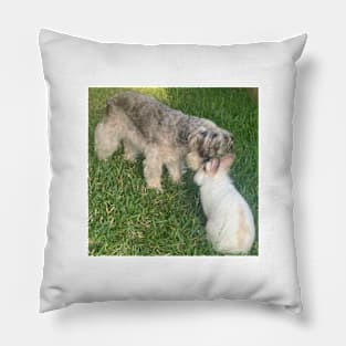 Friend forever Pillow