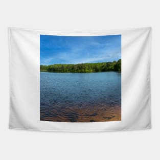 Clear lake Tapestry