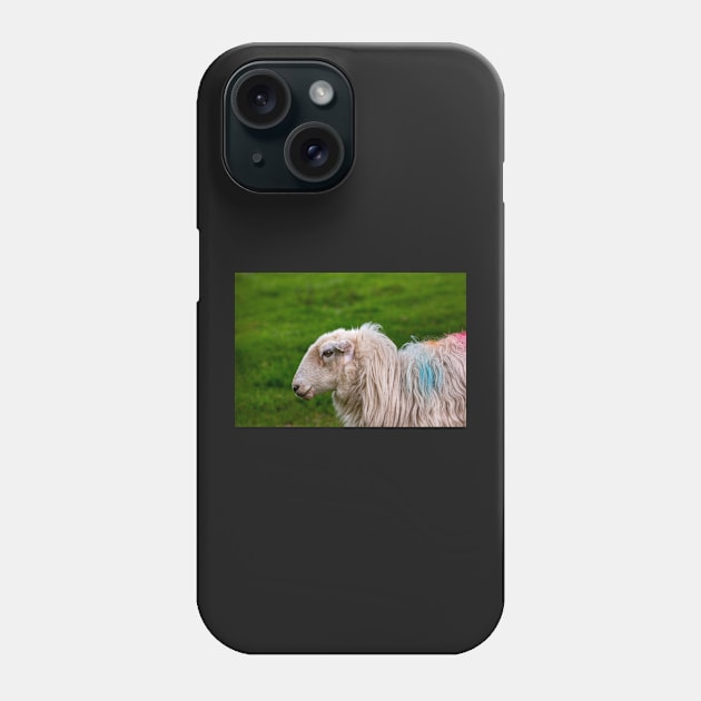 Sheep Phone Case by jasminewang